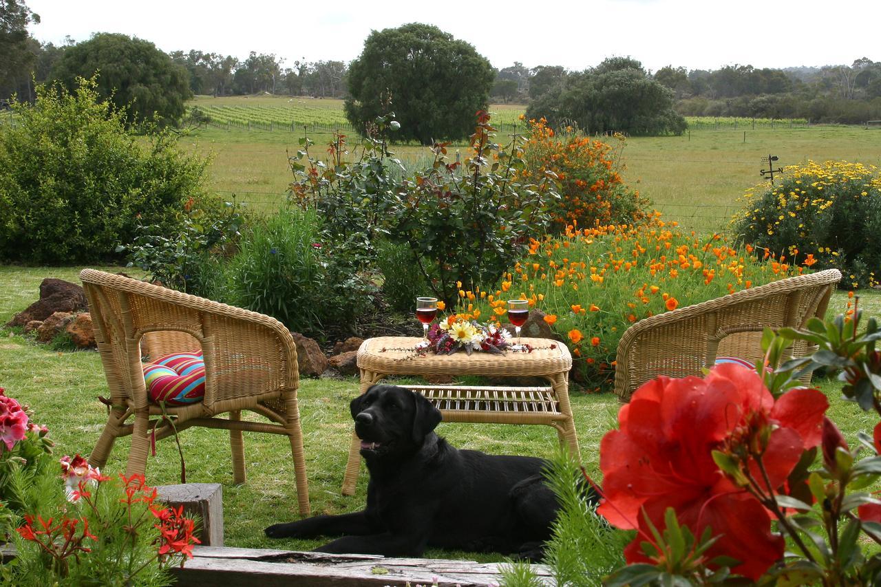 Silversprings Spa Retreat Pet Friendly Cottages And Glampings Metricup Exterior foto