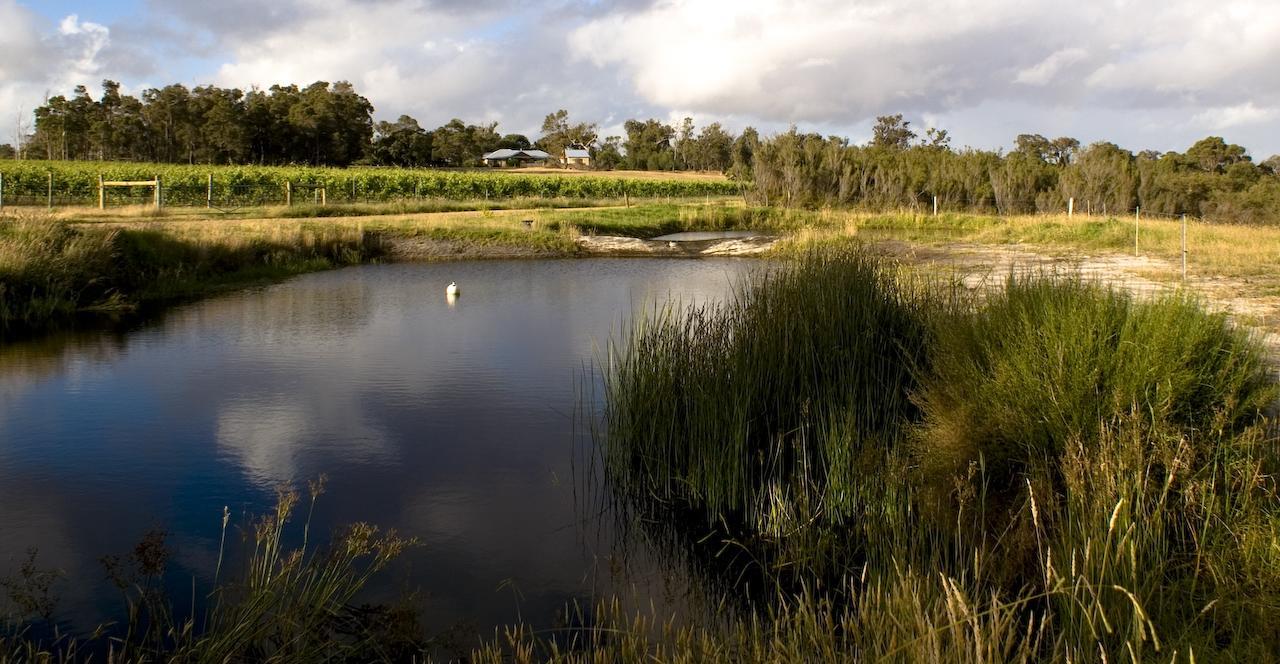 Silversprings Spa Retreat Pet Friendly Cottages And Glampings Metricup Exterior foto